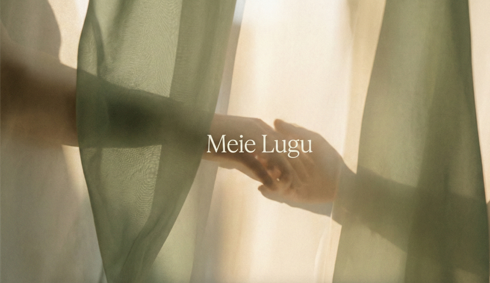 Meie lugu